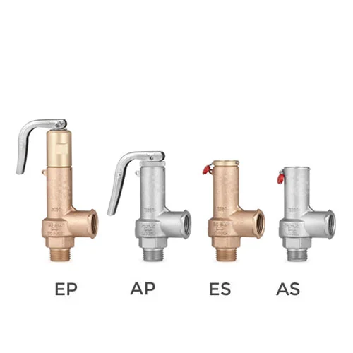 Van an toàn VYC Model 695,size DN10 – DN25, WP: 36 bar, Nhiệt độ -60°C ~ 250°C